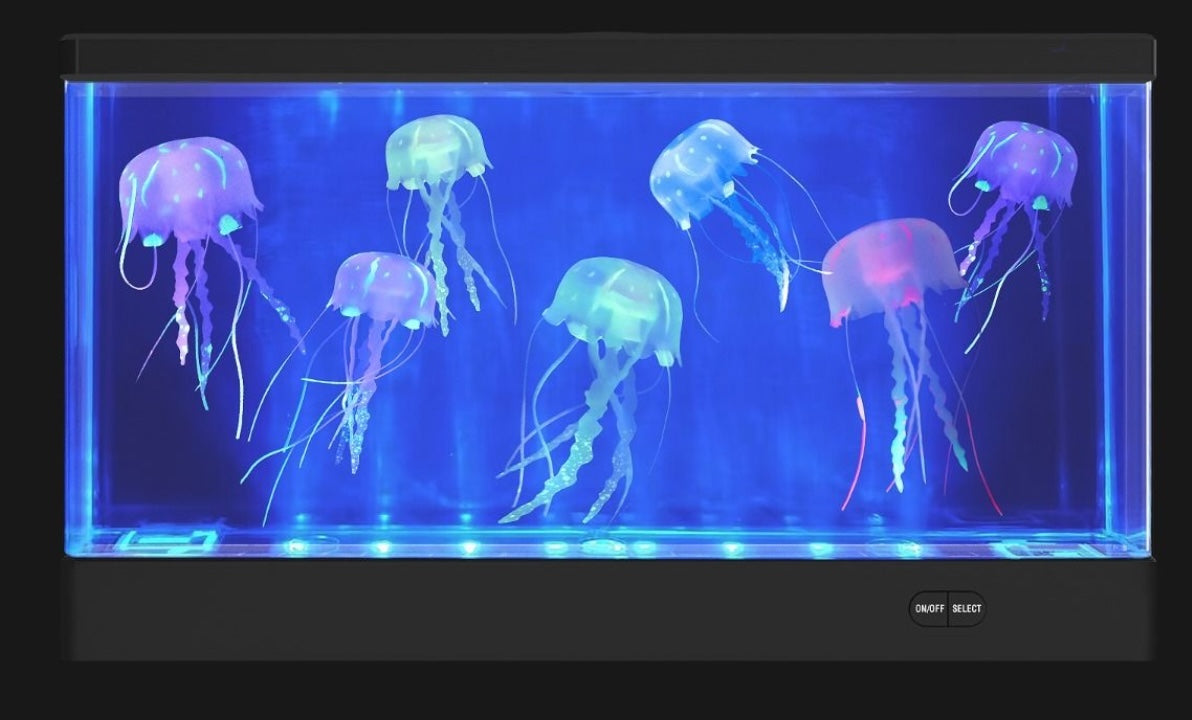 Jelly Fish Aquarium