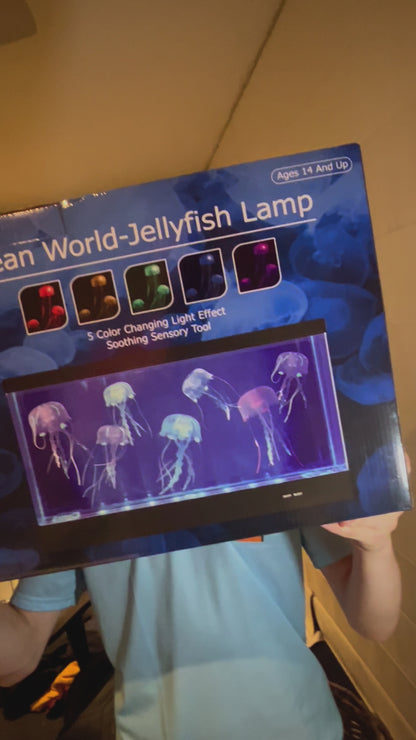 Jelly Fish Aquarium